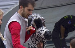 Martin a veselá zebra